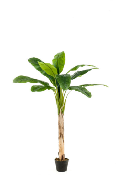 Kunstplant Banana tree 150cm 12lvs in pot d