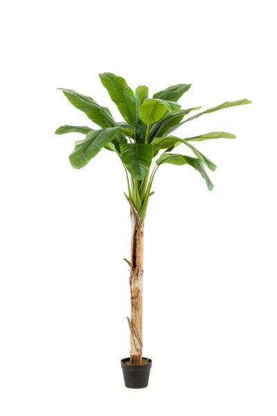 Kunstplant Banana tree 180cm 15lvs in pot d