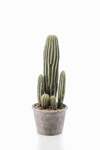 Kunstplant Cactus san pedro in grey pot 37cm
