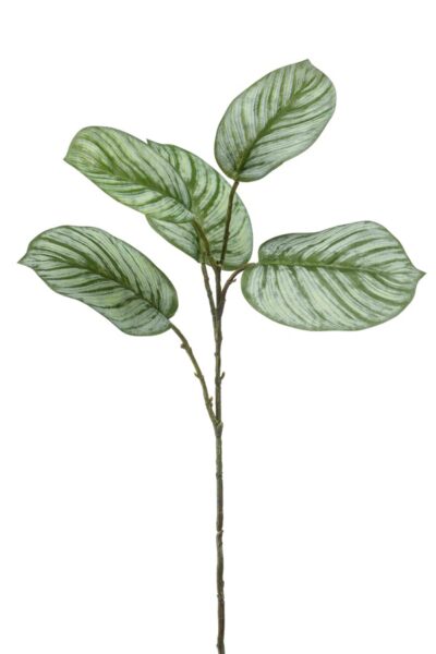 Kunstbladtak Calathea groen 74cm