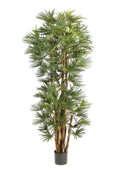 Kunstplant Baby Fan Palm