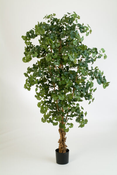 Kunstplant Sweet forest Gingko 210cm