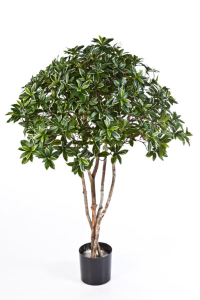 Kunstplant Euonymus Japonicus 120cm