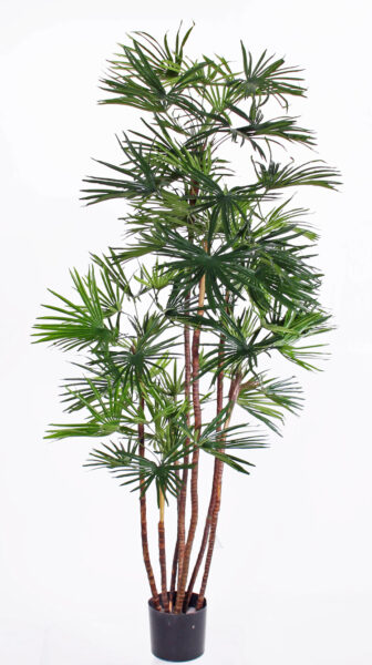 Kunstplant Baby fan palm x7stems UVsafe in pot 160cm