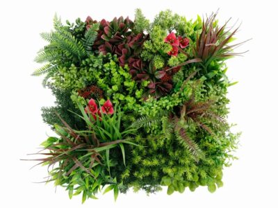 Plantenwand - Koperblad Jessop rood mix 50x50cm uv