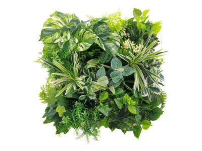 Plantenwand - Witte monstera Bouquet - 50x50cm